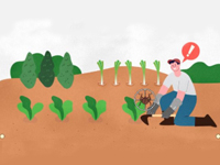 쯔쯔가무시증 관련이미지