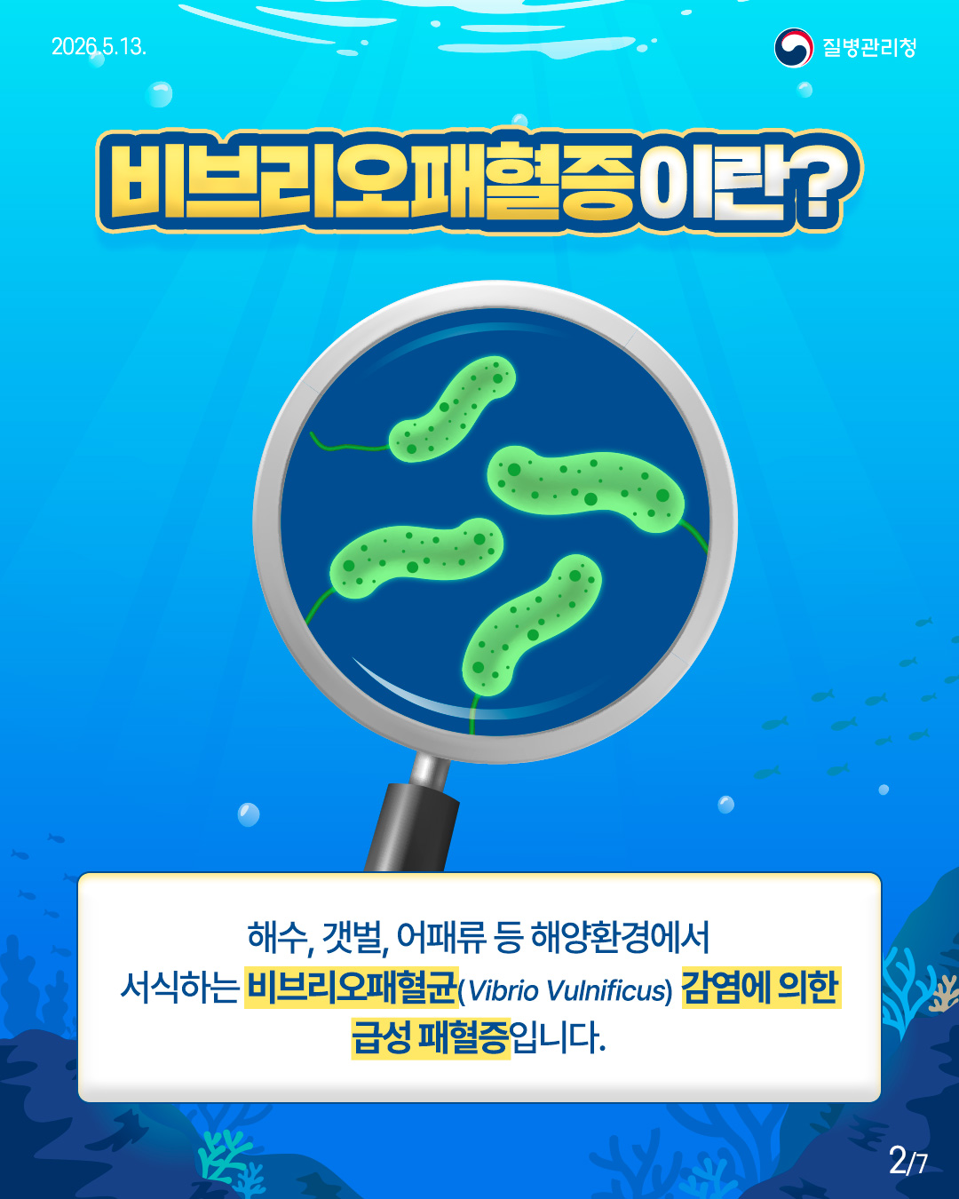 비브리오패혈증이란?  해수, 갯벌, 어패류 등 해양환경에서 서식하는 비브리오패혈균(Vibrio Vulnificus) 감염에 의한 급성 패혈증입니다.