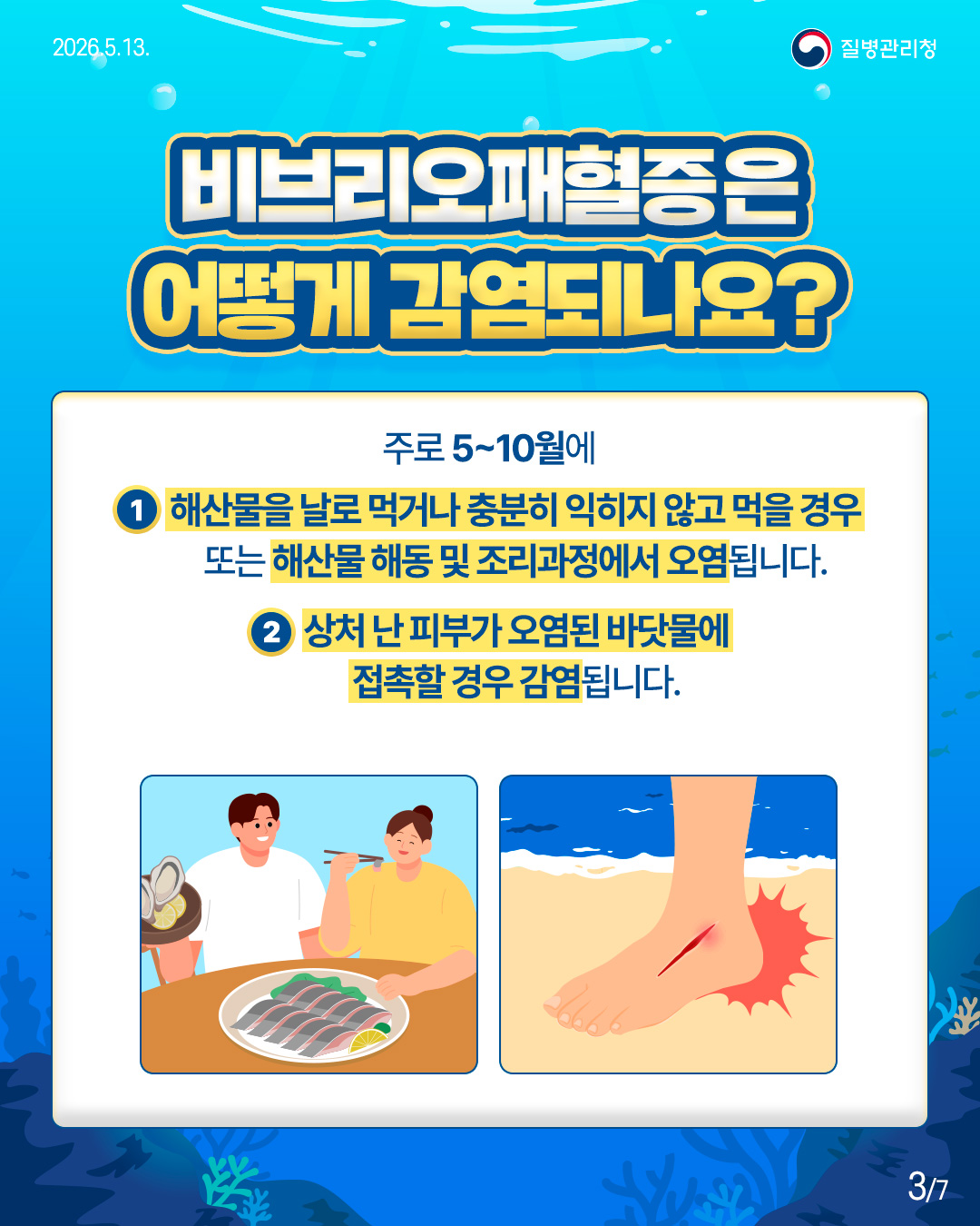 비브리오패혈증은 어떻게 감염되나요?  주로 5~10월에  ① 해산물을 날로 먹거나 충분히 익히지 않고 먹을 경우 또는 해산물 해동 및 조리과정에서 오염됩니다.  ② 상처 난 피부가 오염된 바닷물에 접촉할 경우 감염됩니다.