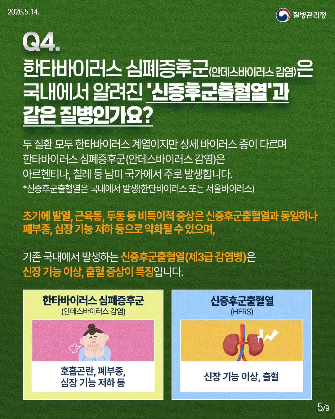 Q4. 한타바이러스 심폐증후군(안데스바이러스 감염)은 국내에서 알려진 '신증후군출혈열'과 같은 질병인가요? 두 질환 모두 한타바이러스 계열이지만 상세 바이러스 종이 다르며 한타바이러스 심폐증후군(안데스바이러스 감염)은 아르헨티나, 칠레 등 남미 국가에서 주로 발생합니다. *신증후군출혈열은 국내에서 발생(한탄바이러스 또는 서울바이러스) 초기에 발열, 근육통, 두통 등 비특이적 증상은 신증후군출혈열과 동일하나 폐부종, 심장 기능 저하 등으로 악화될 수 있으며, 기존 국내에서 발생하는 신증후군출혈열(제3급 감염병)은 신장 기능 이상, 출혈 증상이 특징입니다. 한타바이러스 심폐증후군 (안데스바이러스 감염) 호흡곤란, 폐부종, 심장 기능 저하 등 신증후군출혈열 (HFRS) 신장 기능 이상, 출혈