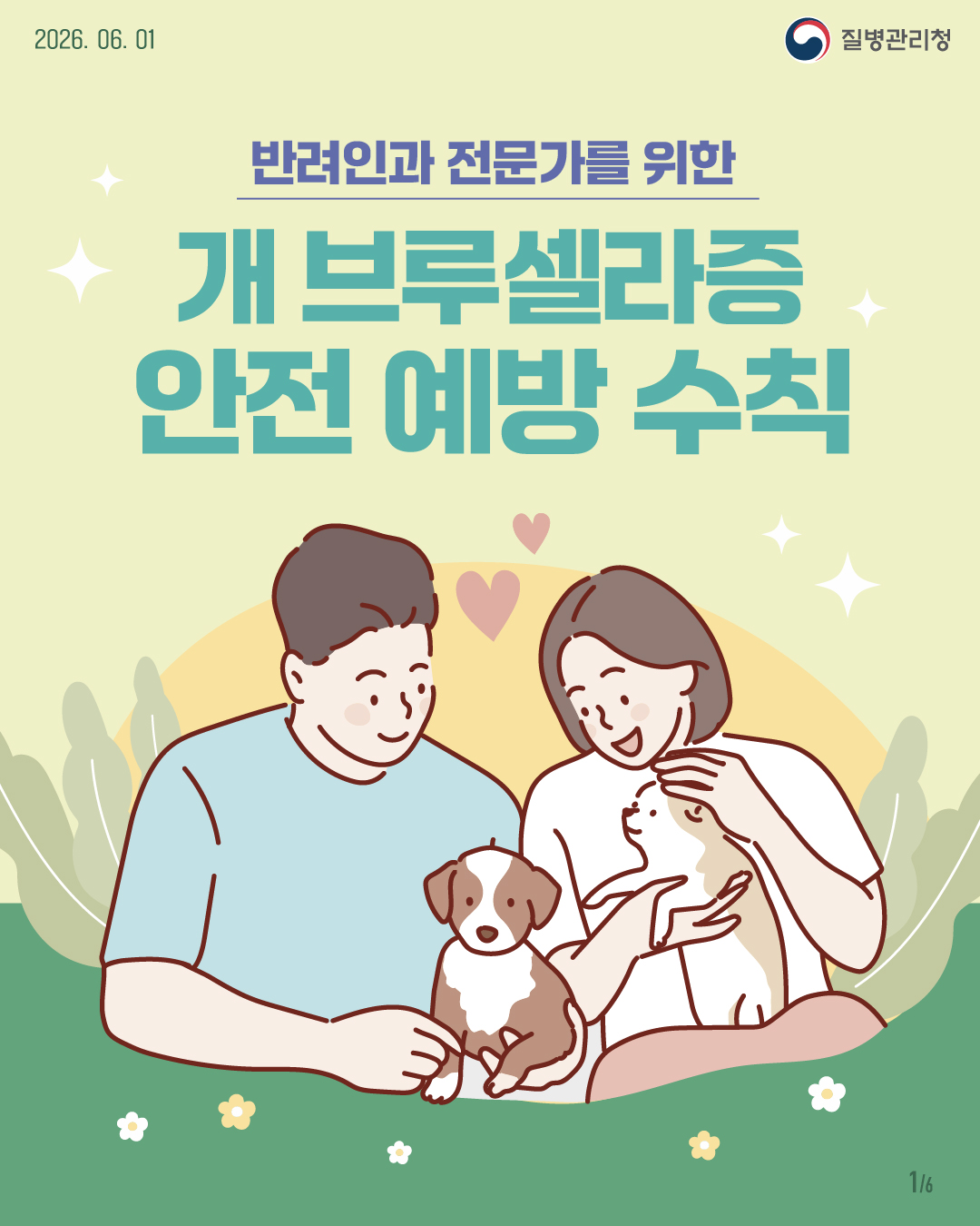 반려인과 전문가를 위한 개 브루셀라증 안전 예방 수칙