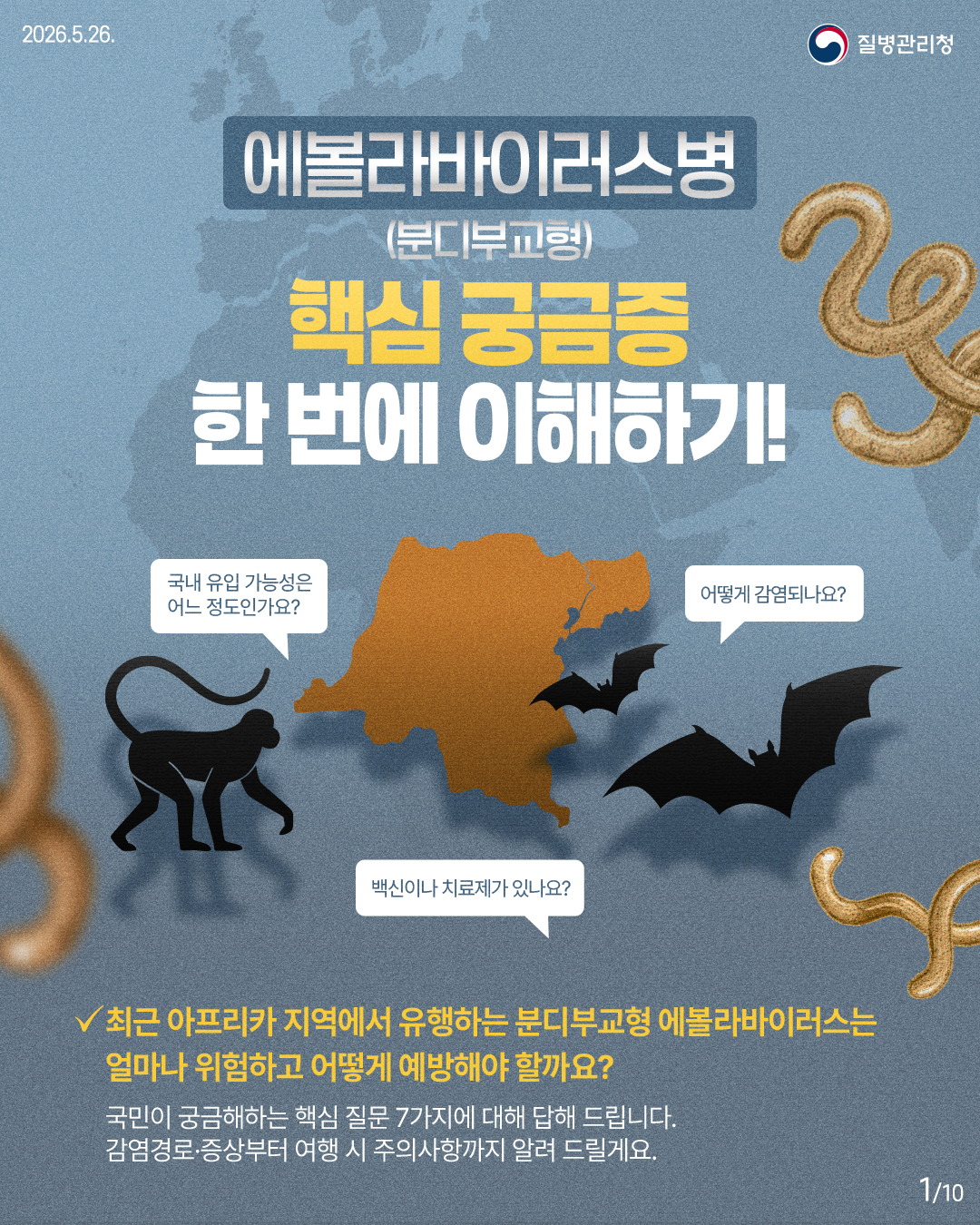 에볼라바이러스병(분디부교형)핵심 궁금증 한 번에 이해하기! 국내 유입 가능성은 어느 정도인가요? 어떻게 감염되나요? 백신이나 치료제가 있나요? 최근 아프리카 지역에서 유행하는 분디부교형 에볼라바이러스는 얼마나 위험하고 어떻게 예방해야 할까요? 국민이 궁금해하는 핵심 질문 7가지에 대해 답해 드립니다. 감염경로&middot;증상부터 여행 시 주의사항까지 알려 드릴게요.