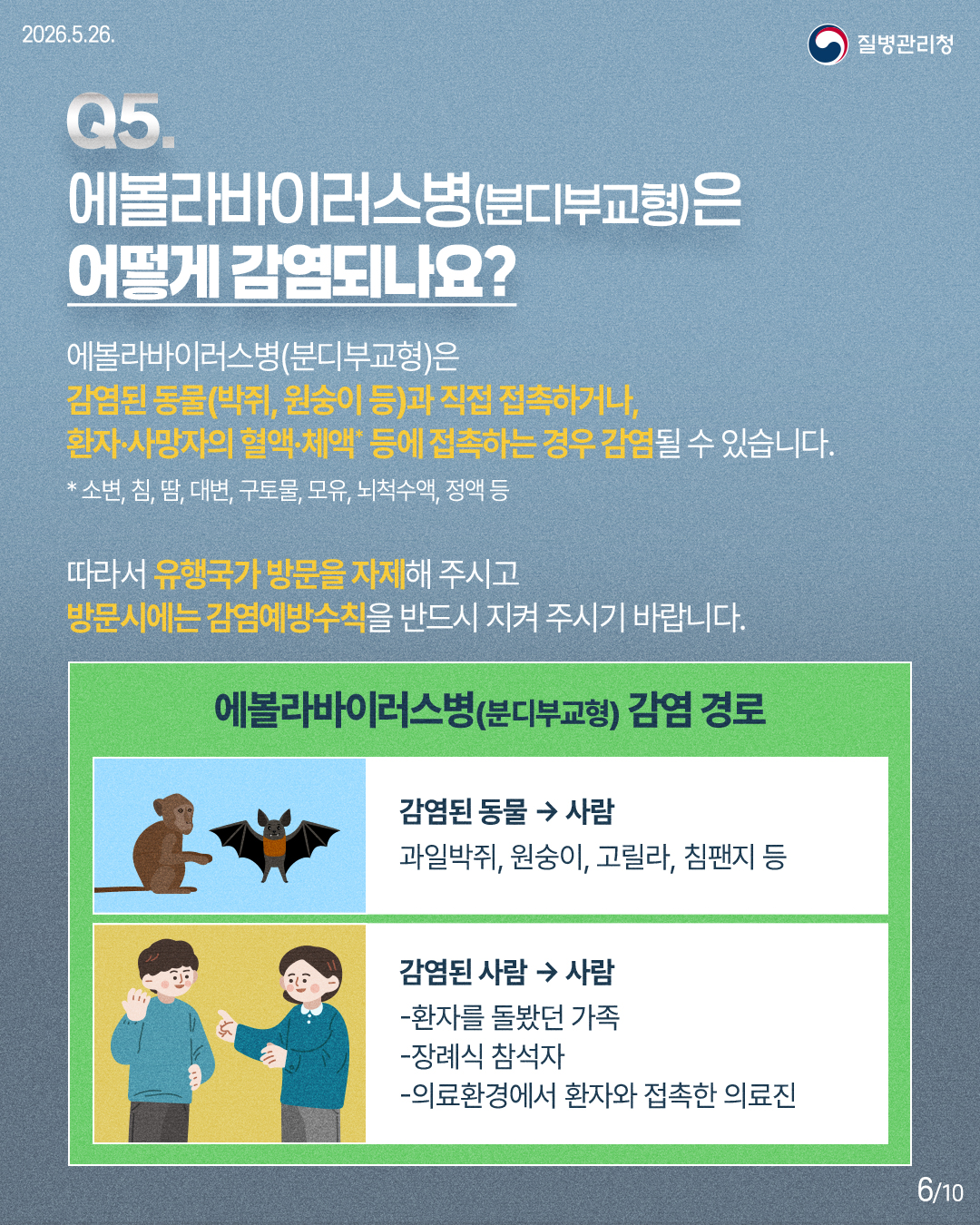 에볼라바이러스병(분디부교형)은 감염된동물(박쥐,원숭이 등)과 직접 접촉하거나, 환자&middot;사망자의 혈액&middot;체액* 등에 접촉하는 경우 감염될 수 있습니다. *소변, 침, 땀, 대변, 구토물, 모유, 뇌척수액, 정액 등 따라서 유행국가 방문을 자제해 주시고 방문시에는 감염예방수칙을 반드시 지켜 주시기 바랍니다. 에볼라바이러스병(분디부교형) 감염 경로 감염된 동물 &rarr; 사람 과일박쥐, 원숭이, 고릴라, 침팬지 등 감염된 사람 &rarr; 사람 -환자를 돌봤던 가족 -장례식 참석자 -의료환경에서 환자와 접촉한 의료진