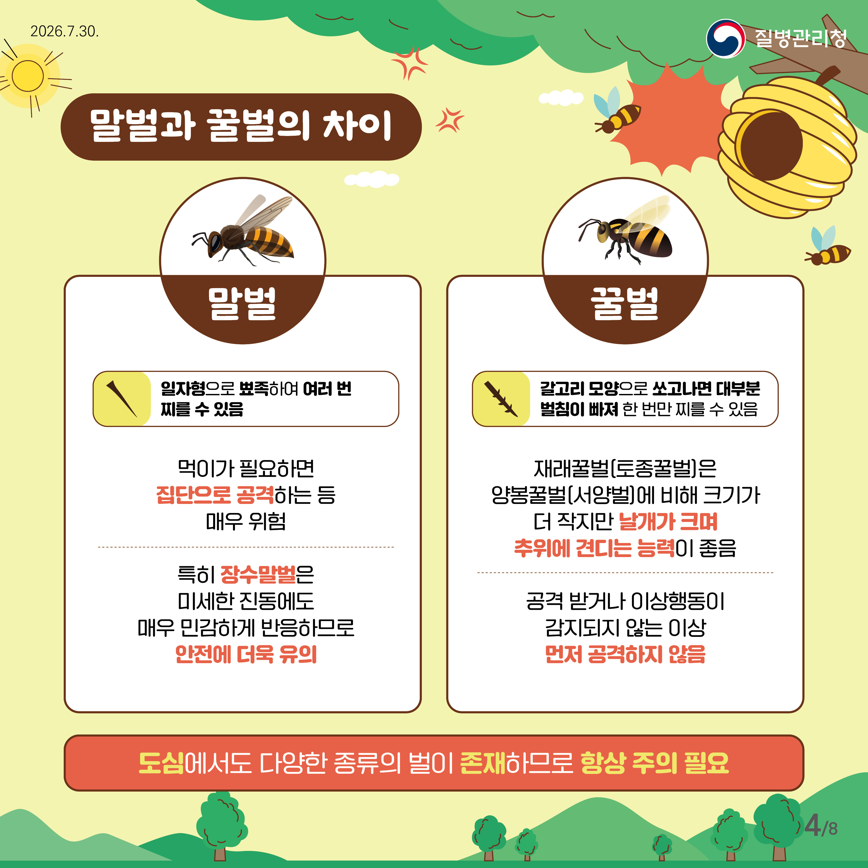 말벌과 꿀벌의 차이 말벌 일자형으로 뾰족하여 여러번 찌를 수 있음 먹이가 필요하면 집단으로 공격하는 등 매우 위험 특히 장수말벌은 미세한 진동에도 매우 민감하게 반응하므로 안전에 더욱 유의  꿀벌 갈고리 모양으로 쏘고나면 대부분 벌침이 빠져 한 번만 찌를 수 있음 재래꿀벌(토종꿀벌)은 양봉꿀벌(서양벌)에 비해 크기가 더 작지만 날개가 크며 추위에 견디는 능력이 좋음 공격 받거나 이상행동이 감지되지 않는 이상 먼저 공격하지 않음  도심에서도 다양한 종류의 벌이 존재하므로 항상 주의 필요