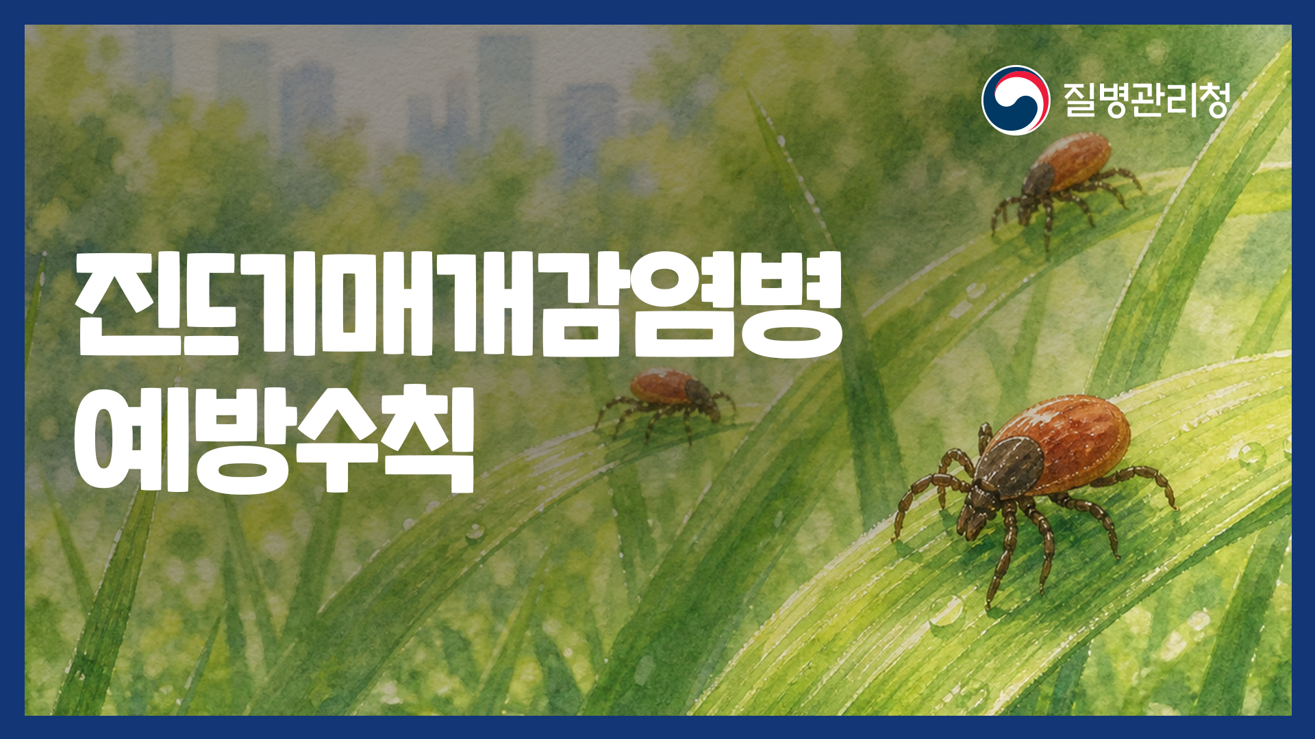 40초 영상