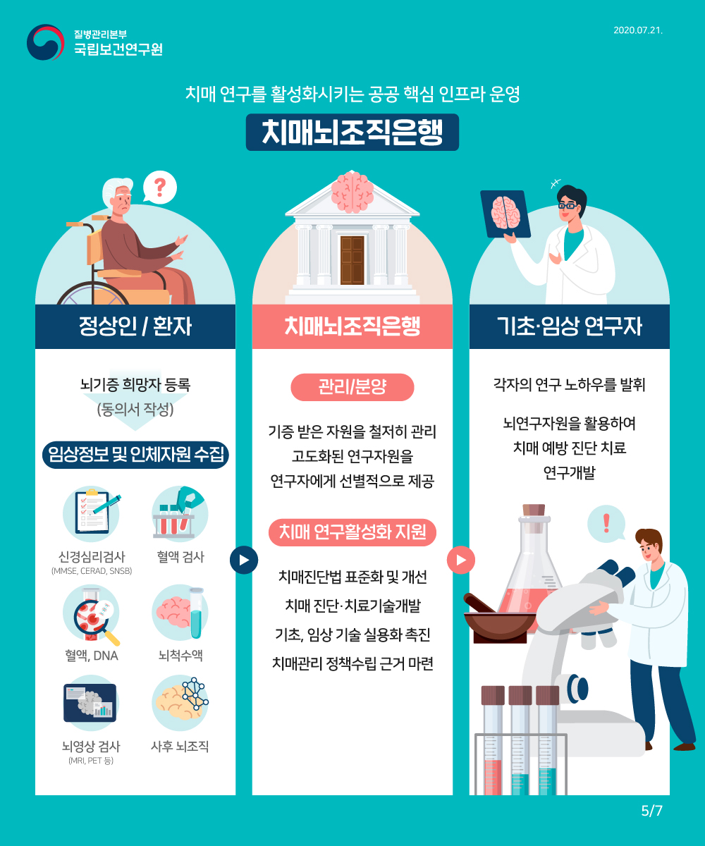 치매 뇌조직은행은 치매 연구를 활성화시키는 공공 핵심 인프라입니다. 치매뇌조직은행은 등록해주신 치매환자로부터 연구자원을 얻고 자원을 관리하고 연구자에게 연구자원을 선별적으로 제공하여 치매 연구가 효과적으로 이루어질 수 있도록 지원하는 역할을 합니다. 정상인이나 치매 환자께서 뇌기증 희망자로 등록하고 동의서를 작성하시면, 이후 치매 검사 및 치매 치료를 일부 지원해드리고 있습니다. 검사 및 검사를 통해 제공하는 연구자원은 MMSE, CDR 등의 신경심리검사와 혈액 검사, 혈액, DNA, 뇌척수액, MRI,PET와 같은 뇌영상 검사, 사후 뇌조직 등입니다. 치매뇌조직은행은 기증 받은 자원을 철저히 관리하고 연구자원을 고도화하는 작업을 합니다. 그리고 연구자에게 선별적으로 제공하여 연구를 지원합니다. 치매 연구를 활성화 시키기 위하여 뇌조직은행에서는 치매 진단법 표준화 및 개선에 노력하고, 고도화된 뇌연구자원을 제공하고, 치매 진단·치료기술을 개발하고, 기초,임상연구 실용화에 기여하며, 치매관리를 위한 정책 수립에 근거를 마련합니다. 기초,임상연구자들은 각자의 연구 노하우를 발휘하여 치매 예방; 진단; 치료제 개발을 위한 연구를 진행합니다. 지원받은 자원을 기반으로 기술을 조기에 실용화하고자 노력합니다.