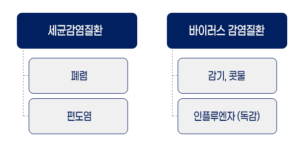 * 세균감염질환 > 폐렴 > 편도염 * 바이러스 감염질환 > 감기,콧물 > 인플루엔자(독감)