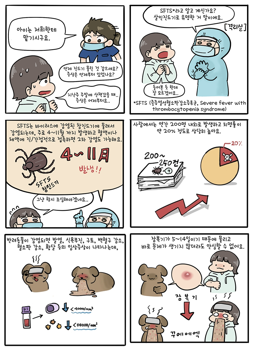 아이는 저희한테 맡기시구요./언제 진드기 물린 것 같으세요? 증상은 언제부터 있었나요?/지난주 주말에 산책갔을 때..증상은 어제부터요../(격리실)SFTS라고 알고 계신가요? 살인진드기로 유명한 거 말이에요./들어본 듯 한데 잘 모르겠어요.../*SFTS(중증열성혈소판감소증후군,severe fever with thrombocytopenia syndrome)/SFTS는 바이러스에 감염된 참진드기에 물려서 감염되는데, 주로 4~11월까지 발생하고 혈액이나 체액에 직/간접적으로 접촉하면 2차 감염도 가능해요./그냥 항시 조심해야겠네요.../사람에서는 연간 200명 내외로 발생하고 치명률이 약 20%정도로 상당히 높아요./반려동물이 감염되면 발열, 식욕부진, 구토, 백혈구감소, 혈소판감소, 황달 등의 임상증상이 나타나는데, 잠복기가 5~14일이기 때문에 물리고 바로 문제가 생기지 않더라도 안심할 수 없어요.