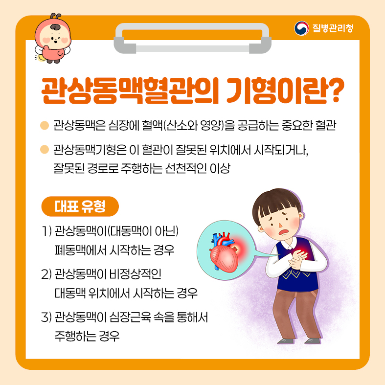 <관상동맥혈관의 기형> 1. 관상동맥혈관의 기형이란? - 관상동맥은 심장에 혈액(산소와 영양)을 공급하는 중요한 혈관 - 관상동맥기형은 이 혈관이 잘못된 위치에서 시작되거나, 잘못된 경로로 주행하는 선천적인 이상 《 대표 유형 》 1) 관상동맥이(대동맥이 아닌) 폐동맥에서 시작하는 경우 2) 관상동맥이 비정상적인 대동맥 위치에서 시작하는 경우  3) 관상동맥이 심장근육 속을 통해서 주행하는 경우