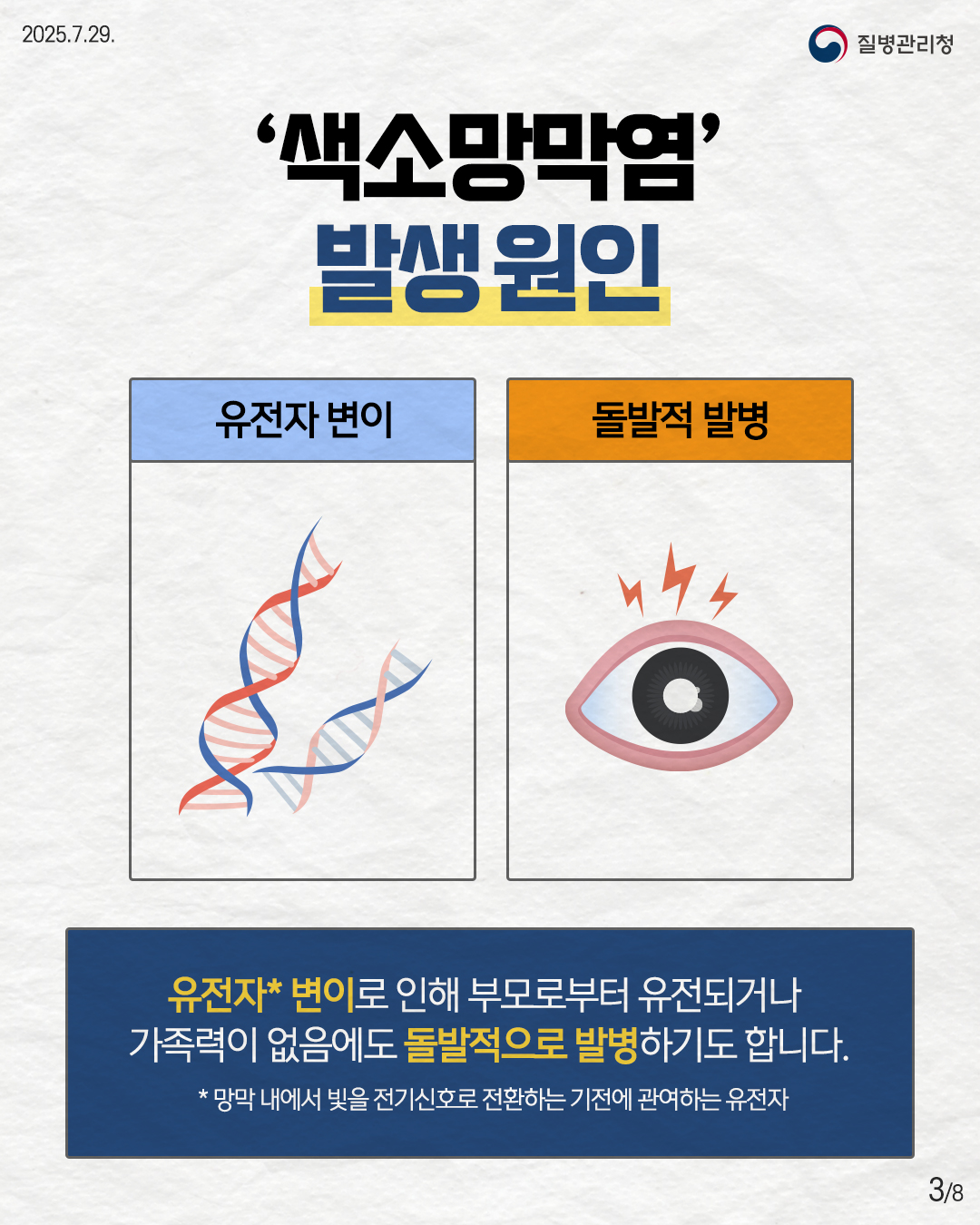 2025.7.29. 질병관리청 3P '색소망막염' 발생 원인 유전자 변이 돌발적 변이 유전자* 변이로 인해 부모로부터 유전되거나 가족력이 없음에도 돌발적으로 발병하기도 합니다. *망막 내에서 빛을 전기신호로 전환하는 기전에 관여하는 유전자 