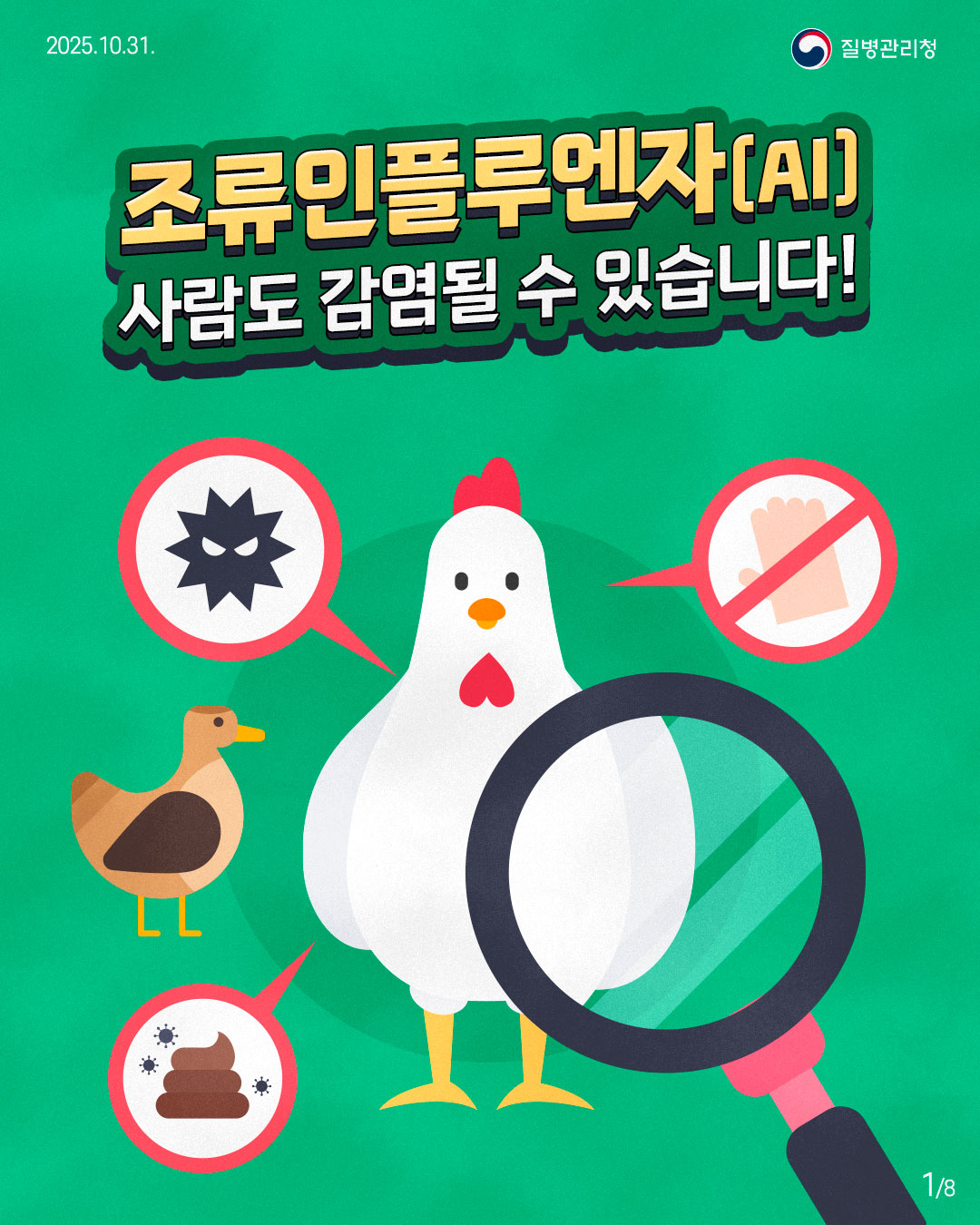 조류인플루엔자(AI), 사람도 감염될 수 있습니다!