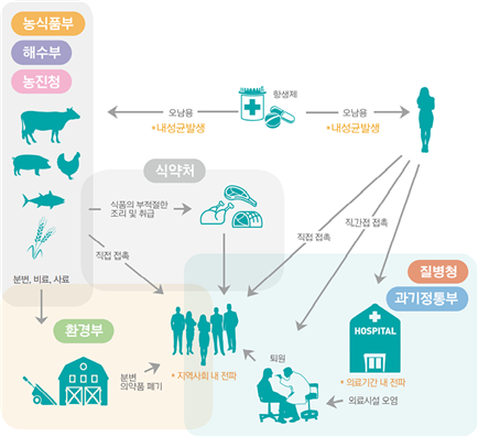 항생제는 사람 또는 가축, 양식어종, 작물 등에 사용되어지고 있으나, 지나친 오남용으로 인한 내성균 발생이 문제가 되고 있습니다. 질병관리청과 과학기술정보통신부에서는 의료기관 내 전파 및 의료시설 오염으로 인한 항생제 내성의 지역사회 전파에 대한 연구를 수행하고 있습니다. 마찬가지로 가축, 양식어, 작물은 각각 농림축산식품부, 해양수산부, 농촌진흥청이 담당하며, 사육과 양식, 재배 과정에서 발생하여 환경으로 유입되는 분변, 비료, 사료 등은 환경부에서, 생산된 식재료 및 식품은 식약처에서 담당하여 항생제 내성의 직접적·간접적 지역사회 전파에 대한 연구를 수행합니다. 이처럼 항생제 내성균에 대한 문제는 사람-동물-환경-식품이 상호연계 되어있기 때문에, One Health 다부처 공동대응사업을 통해 부처간 공동연구 및 협업을 강화해 나가고 있습니다.