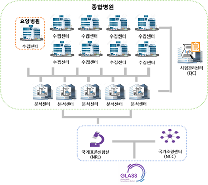 Kor-GLASS의 기본 시스템은 균주수집, 항생제 내성관련 검사, 결과 분석 및 데이터 가공, 국제 공조 순으로 이루어집니다. 전국 8개 권역에 있는 9개의 수집센터에서 종합병원 및 요양병원에서 분리된 대상 병원체를 수집하고, 수집된 병원체에 대하여 5개의 분석센터에서 항생제 감수성 시험과 유전자 검사를 수행합니다. 균주 동정과 항생제 내성관련 검사에 대한 데이터 표준화 및 검사 신뢰성 확보를 위해 외부 시험관리센터에서 정기적 시험 관리를 수행합니다. 수집된 병원체 및 임상정보와 시험결과를 포함한 데이터는 모두 국가표준실험실(NRL)에서 관리하며, 결과 분석 및 데이터 가공을 거쳐 국가조정센터(NCC)와의 공조 하에 매년 WHO GLASS와 정보를 공유하고 있습니다.