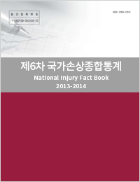 6차 국가손상종합통계