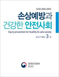 손상예방과 건강한 안전사회 2017년 3호 표지