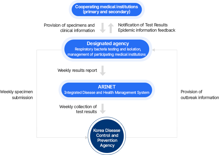 호흡기 세균검사 결과 보고 및 질병관리청 환류 체계도