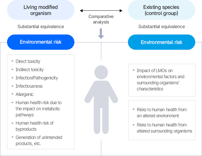 유전자변형생물체 위해성 평가 다이어그램. 인체 위해성과 환경 위해성으로 구분하여 분석.
