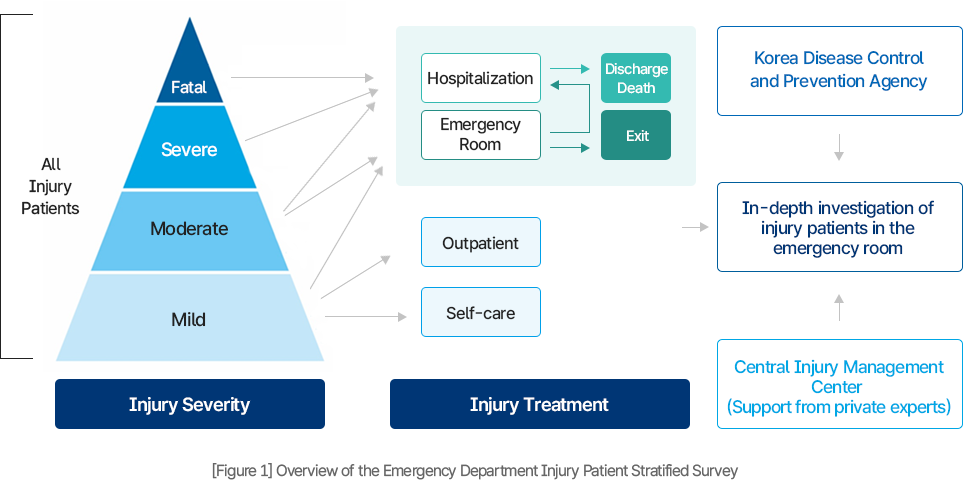 응급실 손상환자 심층조사 개요도
