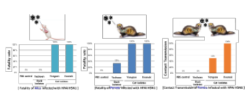 신종감염병 그래프