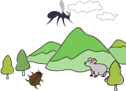 중증열성혈소판 감소 증후군(SFTS) 관련 일러스트