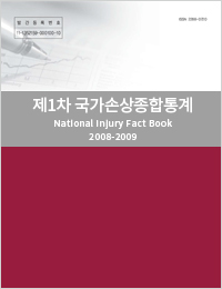 1차 국가손상종합통계