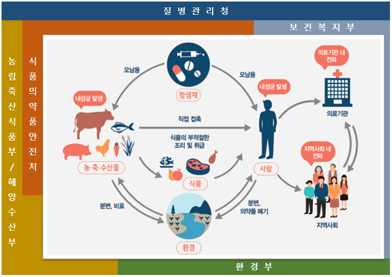 질병관리청 농림축산식품부/해양수산부, 식품의약품안전처, 보건복지부, 환경부, 항생제 오남용, 내성균 발생, 이를 사람과 농축수산물이 직접 접촉 또는 식품의 부적절한 조리 및 취급을 할 경우, 또는 분변, 비료, 의약품 폐기 등 환경적 요인으로 인해 접촉할 경우 이런 내성균이 의료기관 및 지역사회에 전파