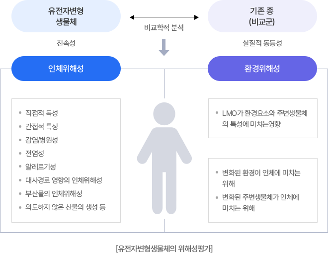 유전자변형생물체 위해성 평가 다이어그램. 인체 위해성과 환경 위해성으로 구분하여 분석.