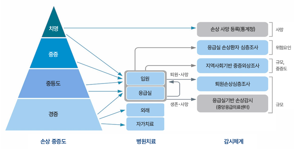 손상 중증도별 병원치료 및 감시체계 흐름도