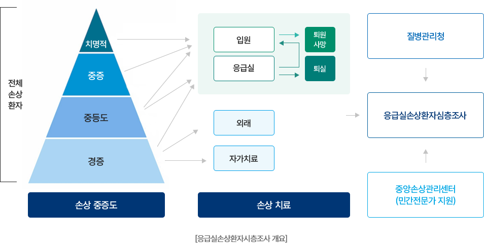 응급실 손상환자 심층조사 개요도