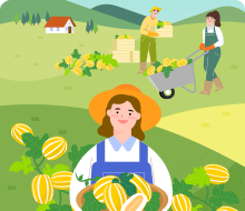 참외 농작물을 수확하는 모습 일러스트