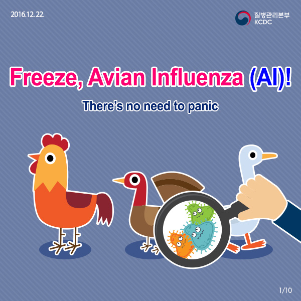 [Card news] Freeze, Avian Influenza(AI)! 사진5
